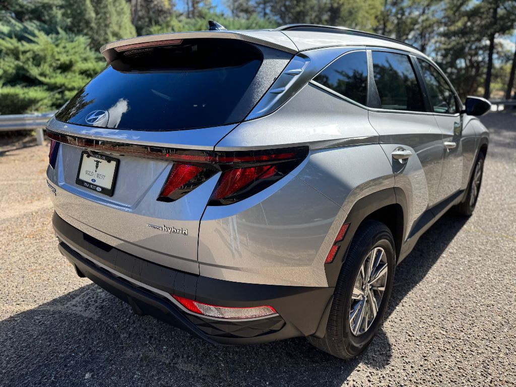 Used Car 2024 Hyundai Tucson Hybrid  Blue For Sale Under $30,000 In Guymon, Oklahoma