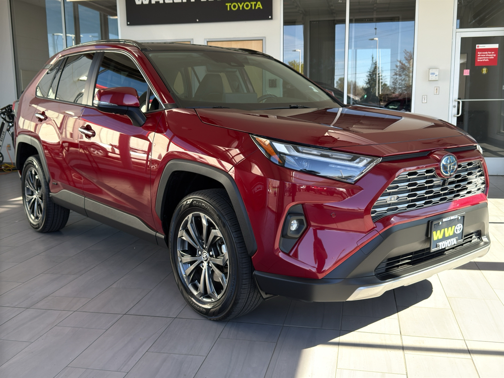 2024 Toyota RAV4 Hybrid