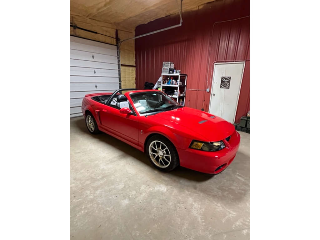 Torch Red 2004 Ford Mustang SVT Cobra Convertible Convertible Rear-Wheel Drive 6-Speed Manual