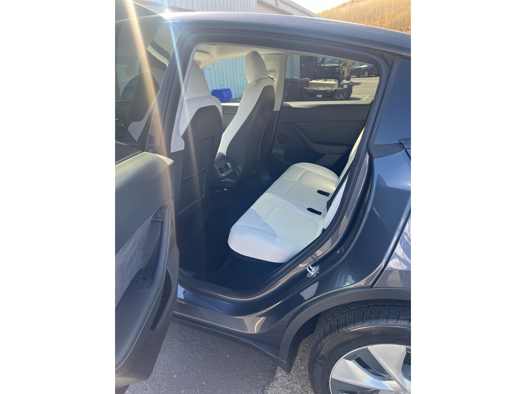 2023 Tesla Model Y photo 6