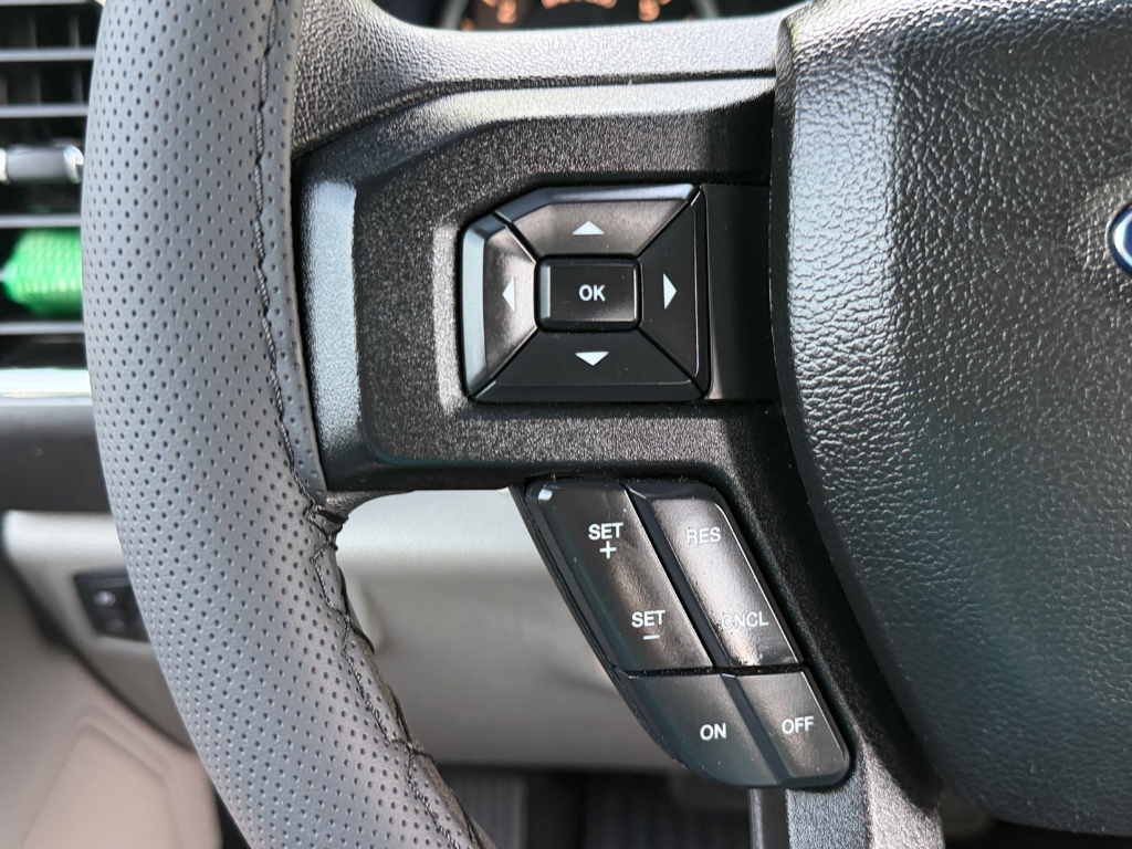 2016 Ford F-150 image 19