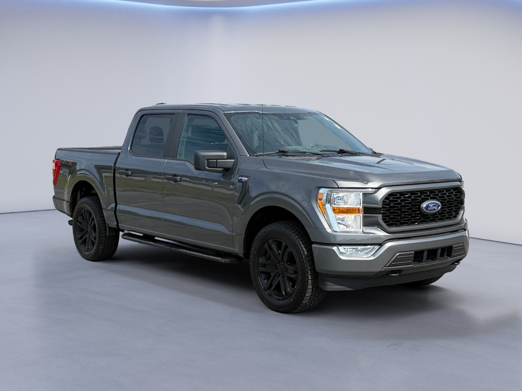 2021 Ford F-150 image 1