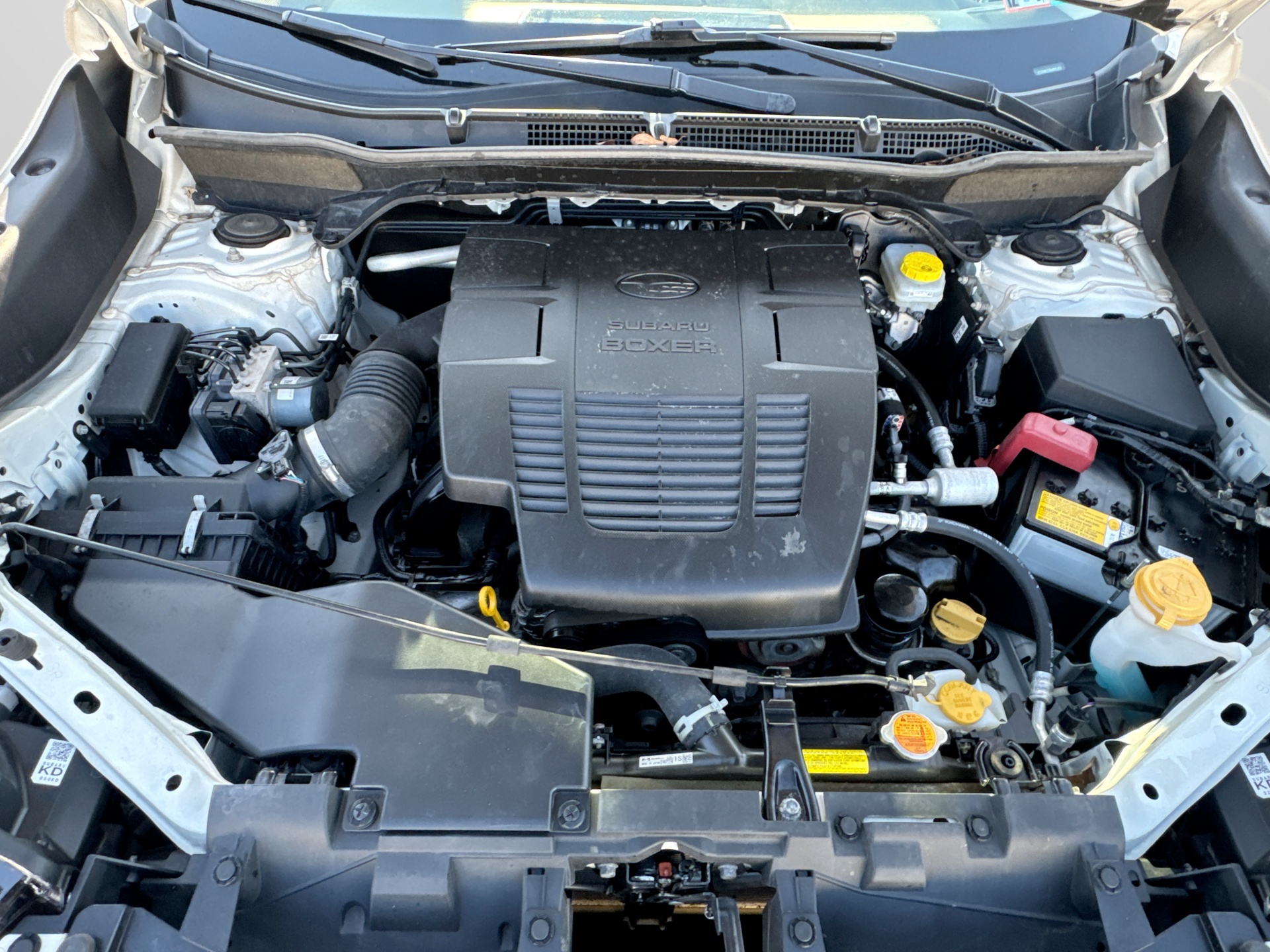 Used 2024 Subaru Forester SUV