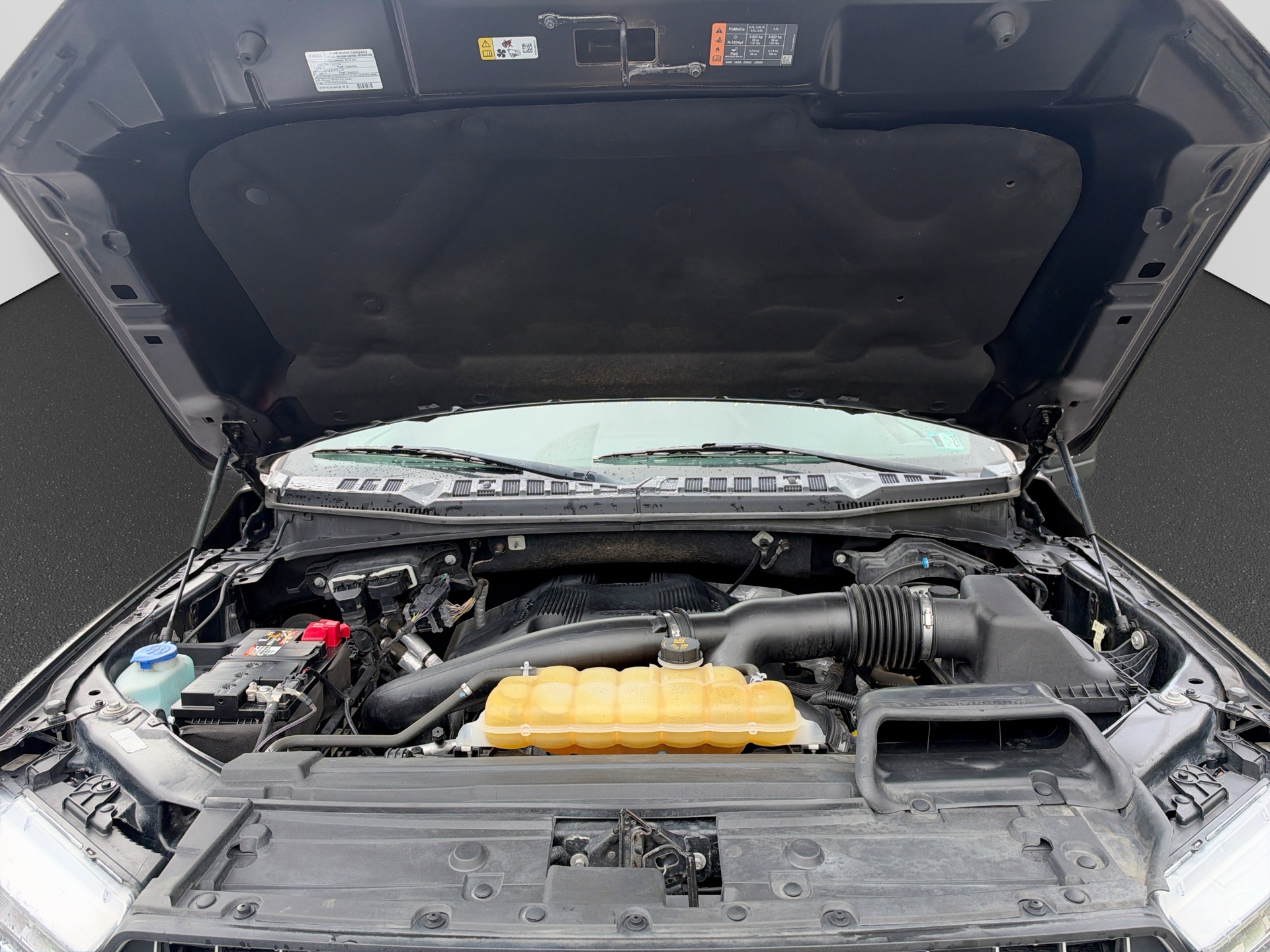 Used 2019 Ford F-150 Truck