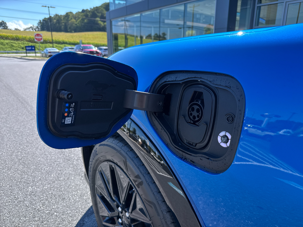 New 2025 Velocity Blue Metallic Ford Premium image 9