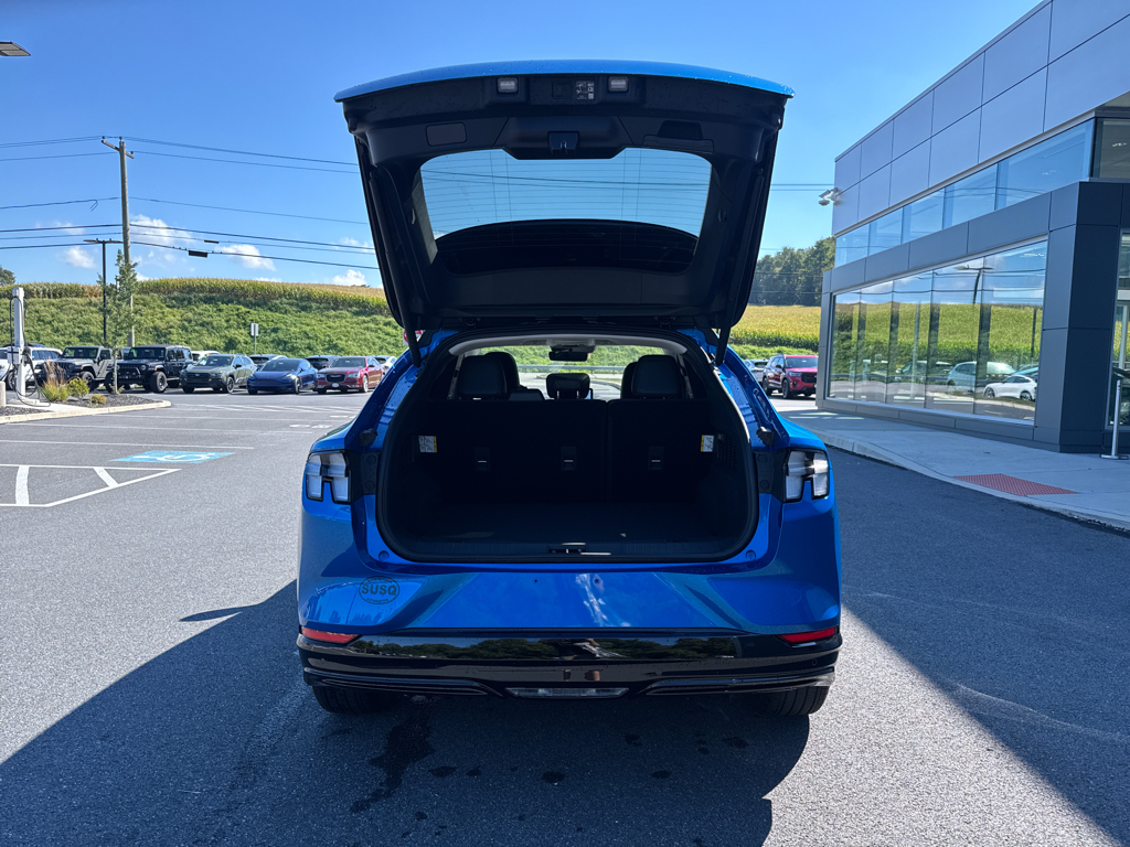 New 2025 Velocity Blue Metallic Ford Premium image 7