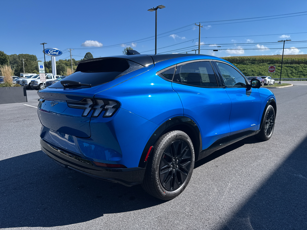 New 2025 Velocity Blue Metallic Ford Premium image 18