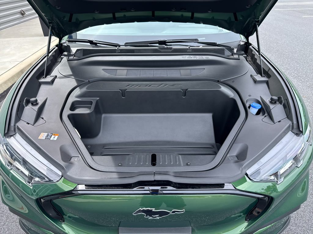 New 2025 Eruption Green Metallic Ford Premium image 26