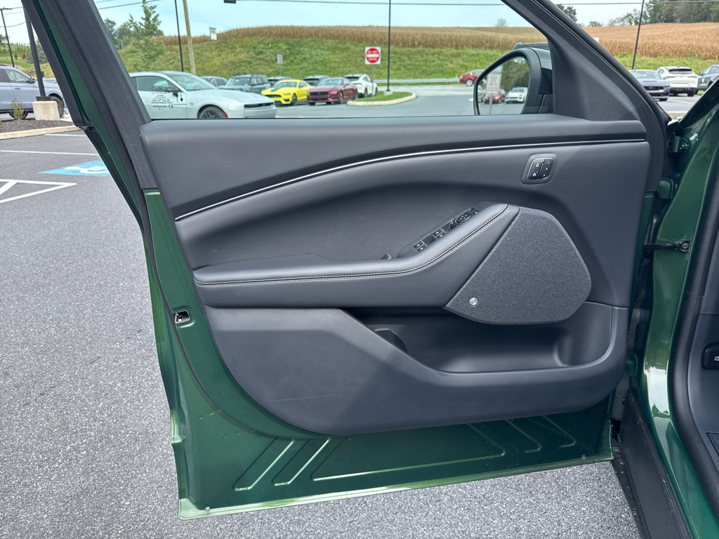 New 2025 Eruption Green Metallic Ford Premium image 27
