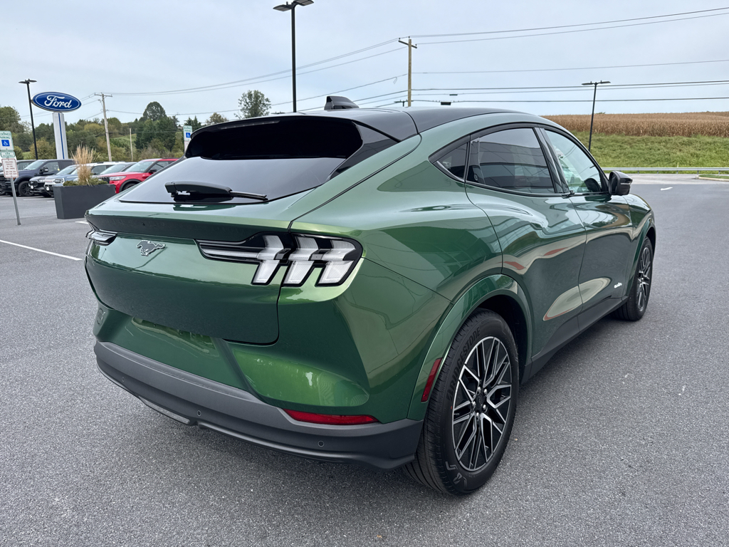 New 2025 Eruption Green Metallic Ford Premium image 18
