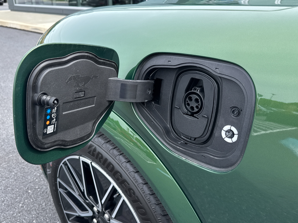 New 2025 Eruption Green Metallic Ford Premium image 25