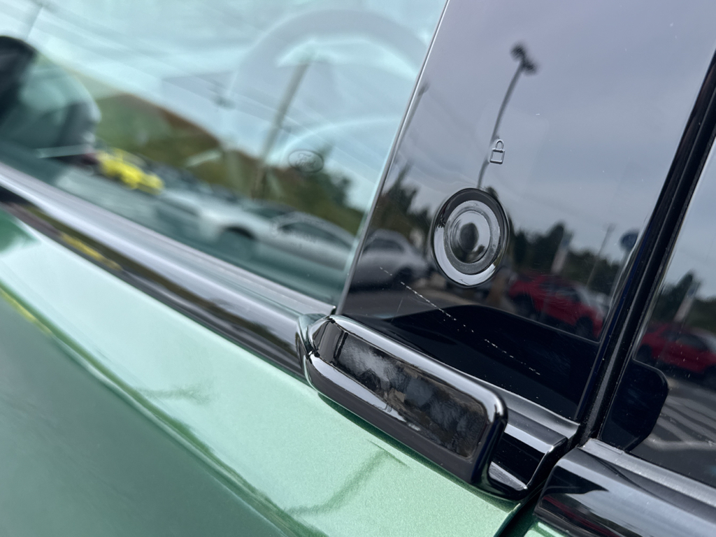 New 2025 Eruption Green Metallic Ford Premium image 24