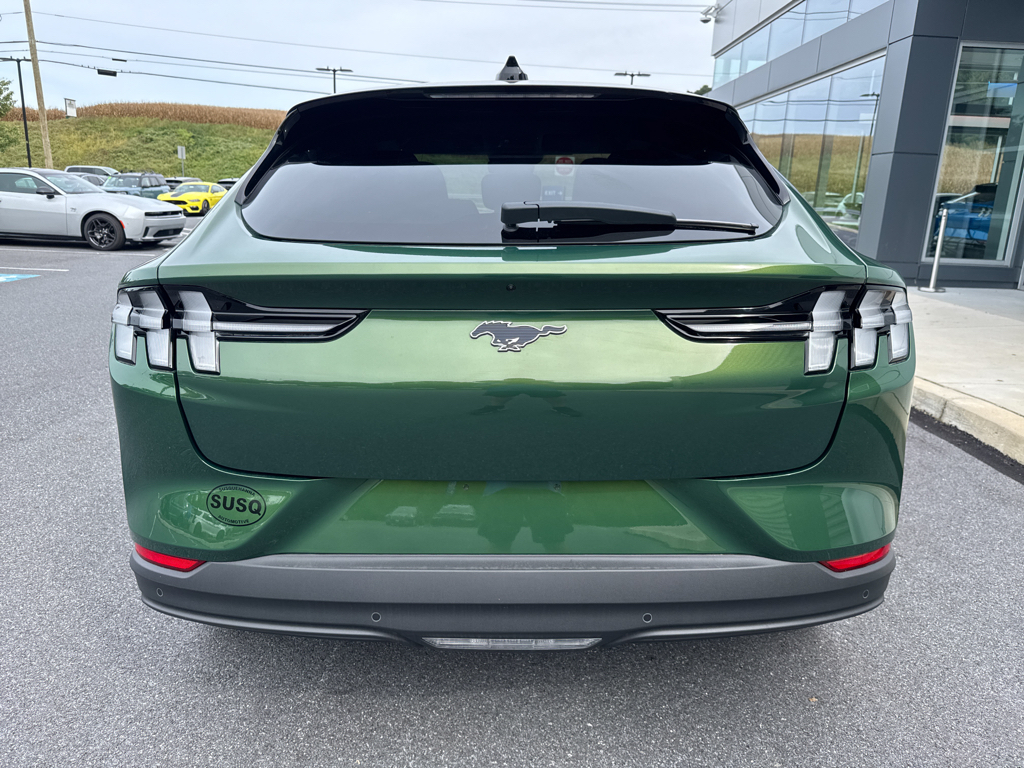 New 2025 Eruption Green Metallic Ford Premium image 8