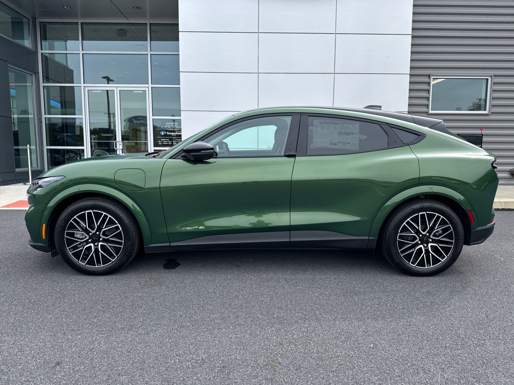 New 2025 Eruption Green Metallic Ford Premium image 11