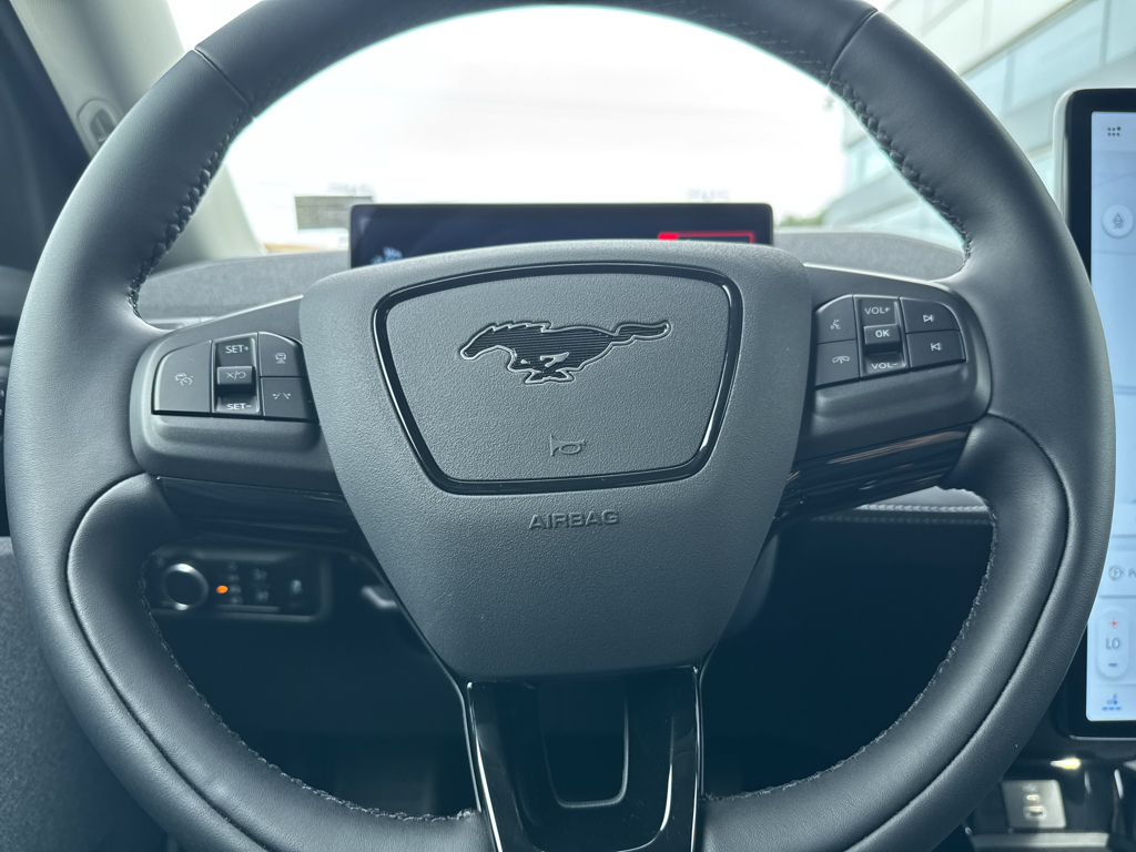 New 2025 Eruption Green Metallic Ford Premium image 20