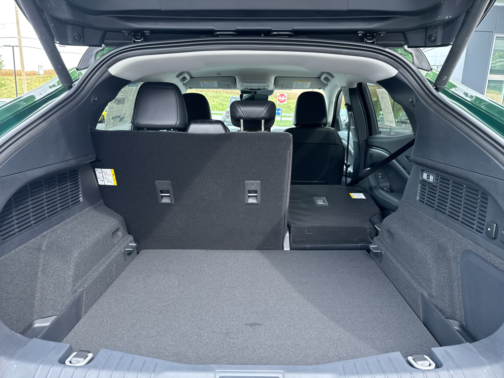 New 2025 Eruption Green Metallic Ford Premium image 6