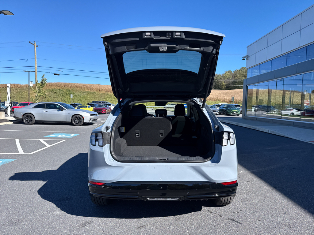 New 2025 Glacier Gray Ford Premium image 7