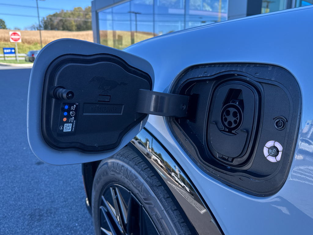 New 2025 Glacier Gray Ford Premium image 23