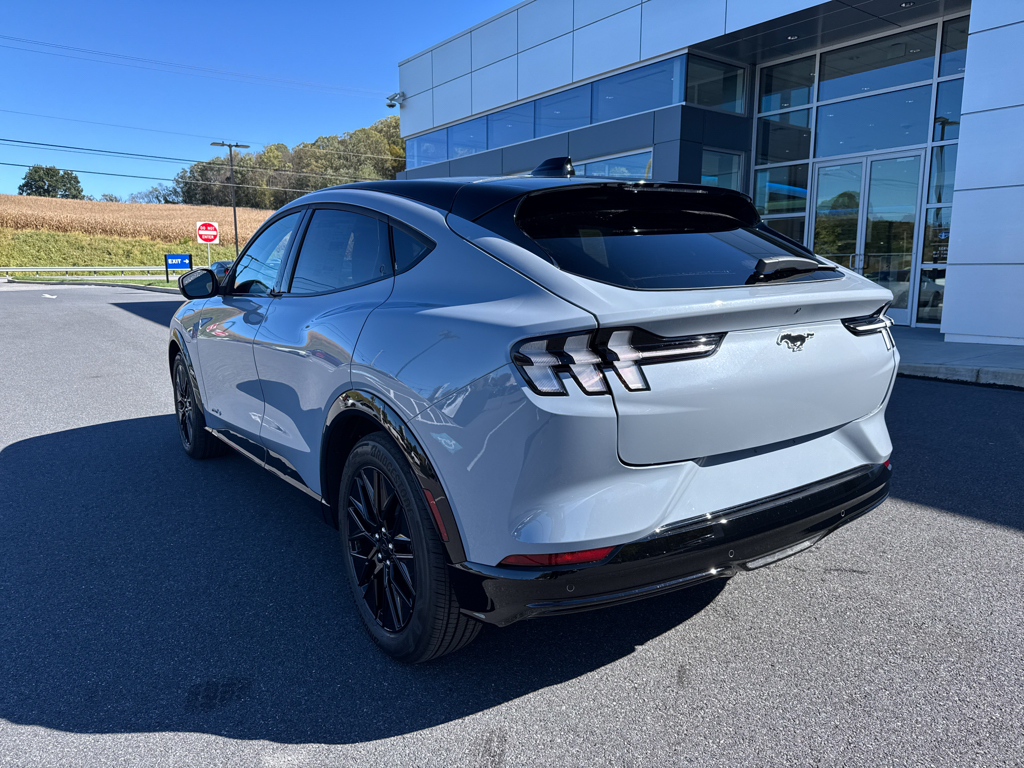 New 2025 Glacier Gray Ford Premium image 17