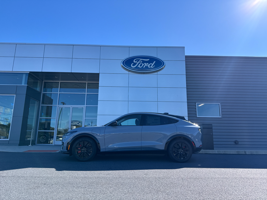 New 2025 Glacier Gray Ford Premium image 10