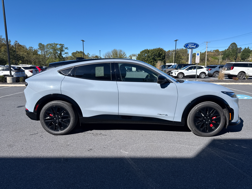 New 2025 Glacier Gray Ford Premium image 12