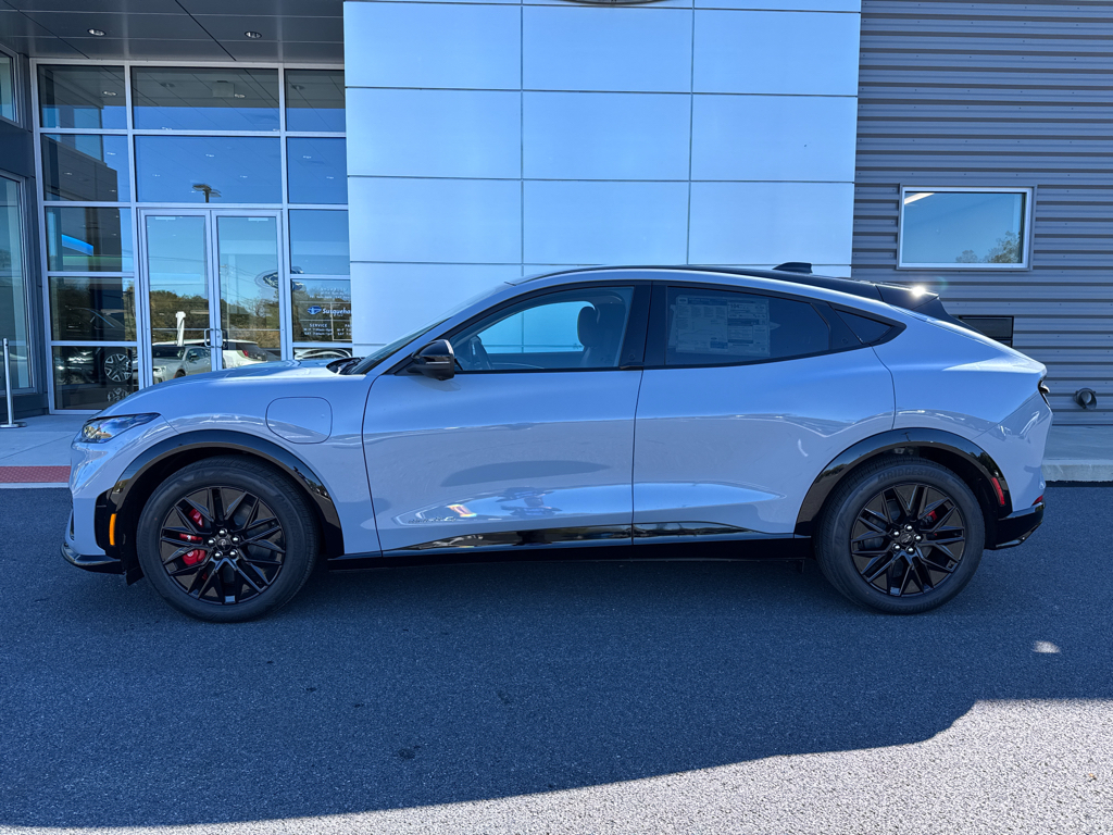 New 2025 Glacier Gray Ford Premium image 11