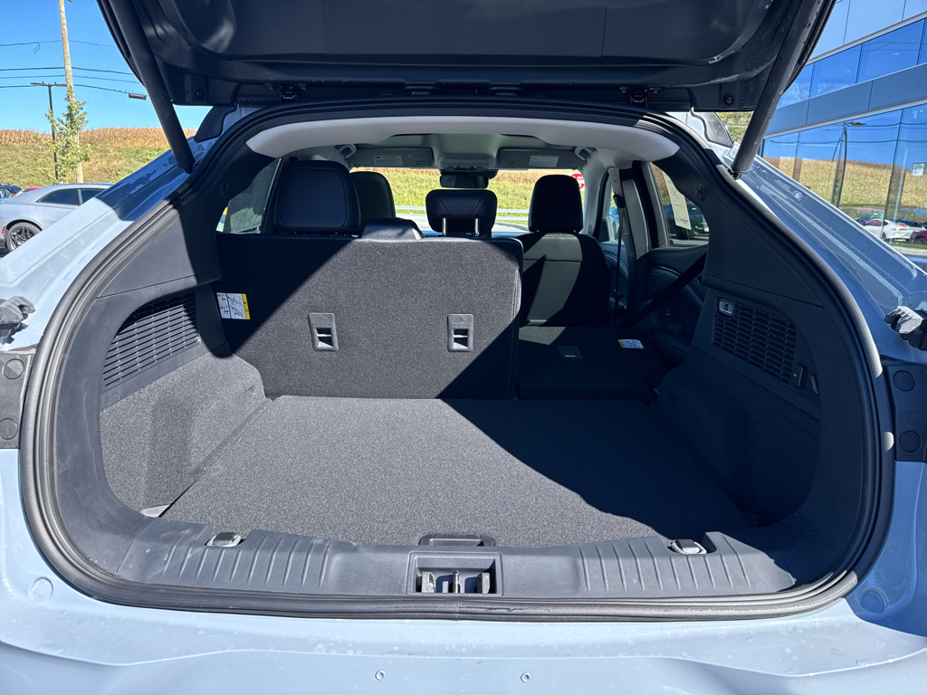 New 2025 Glacier Gray Ford Premium image 6