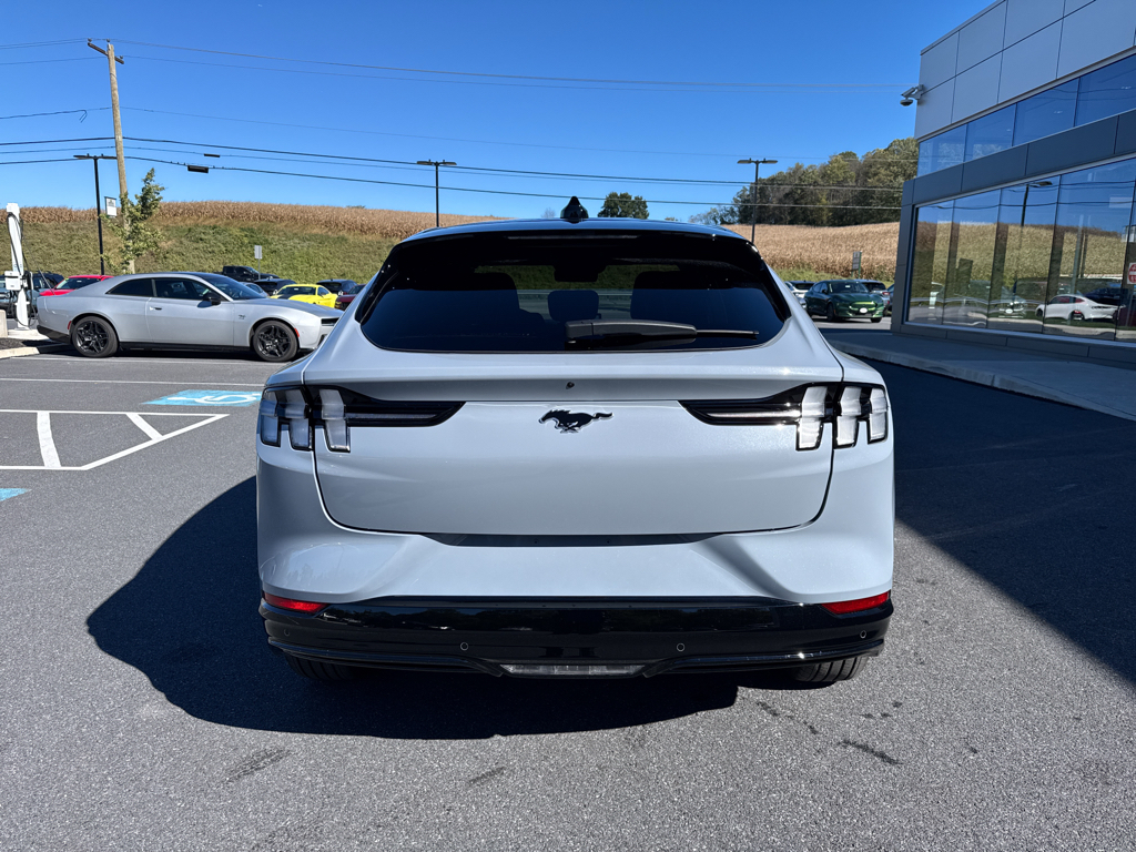 New 2025 Glacier Gray Ford Premium image 8