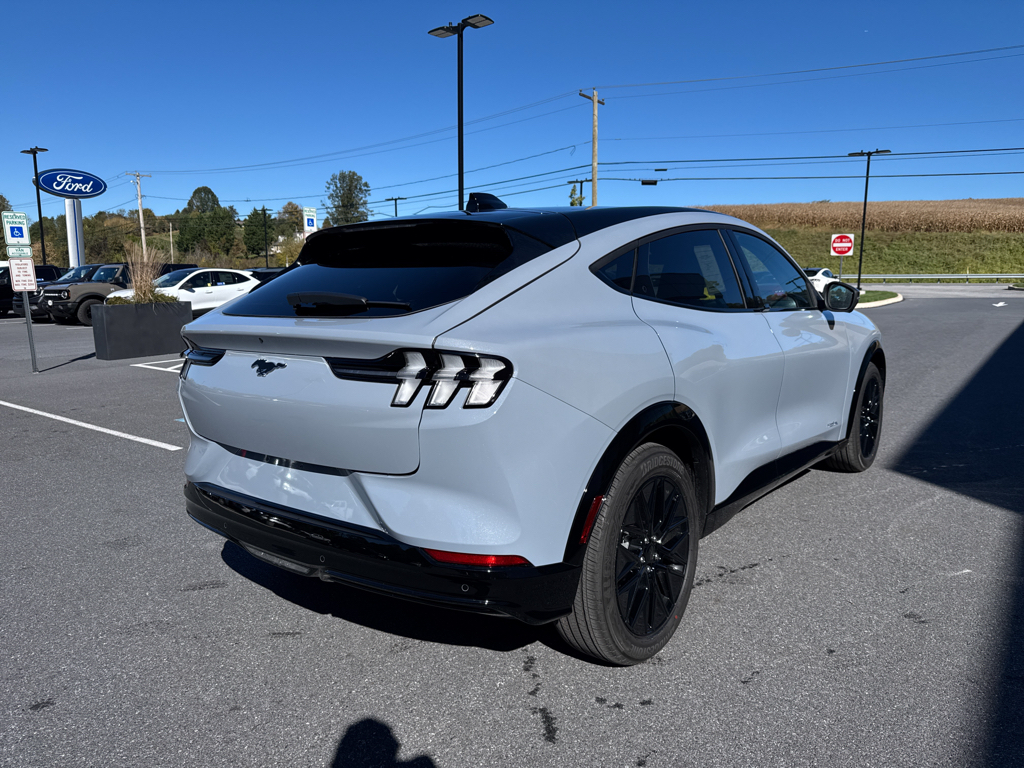 New 2025 Glacier Gray Ford Premium image 18