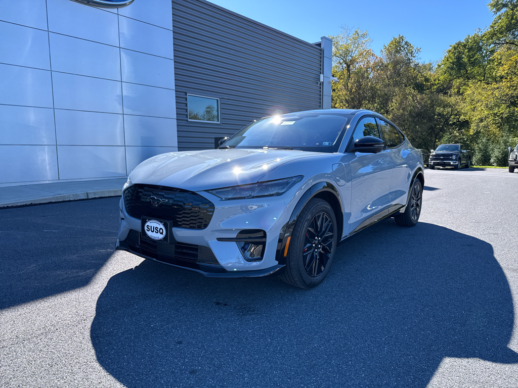 New 2025 Glacier Gray Ford Premium image 16