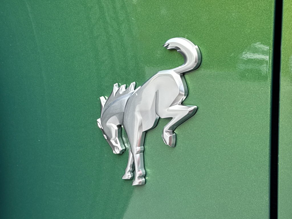 New 2025 Eruption Green Metallic Ford Base image 23