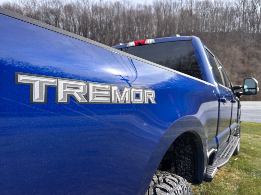 New 2026 Argon Blue Metallic Ford XLT image 22