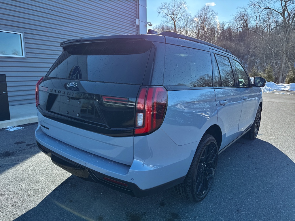 New 2026 Glacier Gray Met Tri-coat Ford Platinum image 19