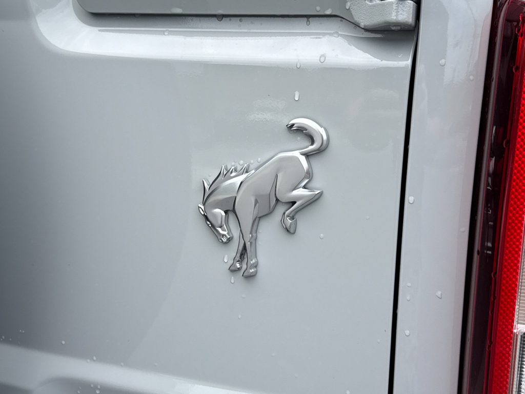New 2026 Avalanche Gray Ford Base image 23