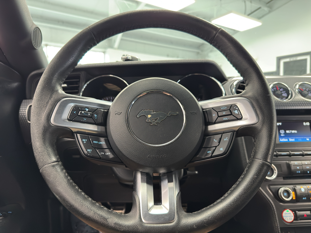 2016 Ford Mustang GT photo 17