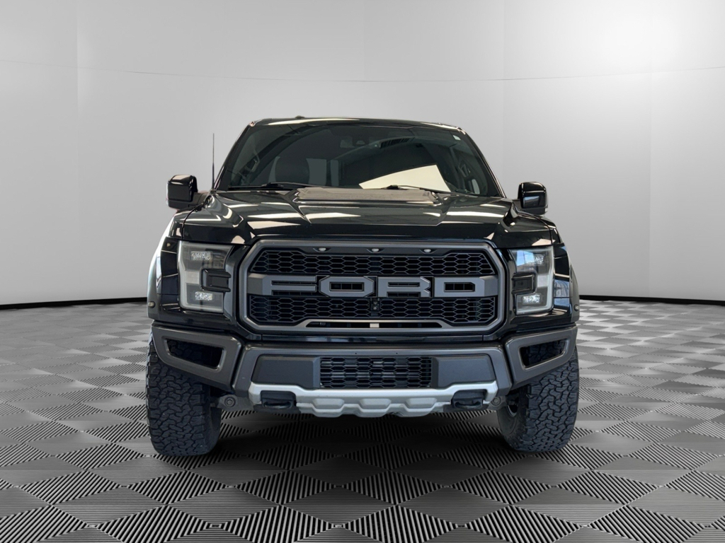 2018 Ford F-150 Raptor photo 2