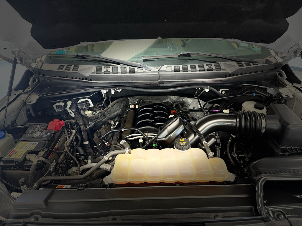 Used 2019 Ford F-150 Truck