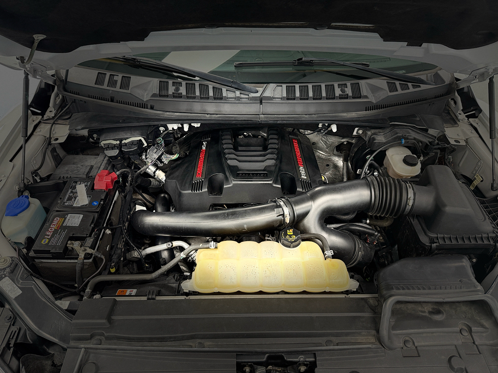 Used 2019 Ford F-150 Truck