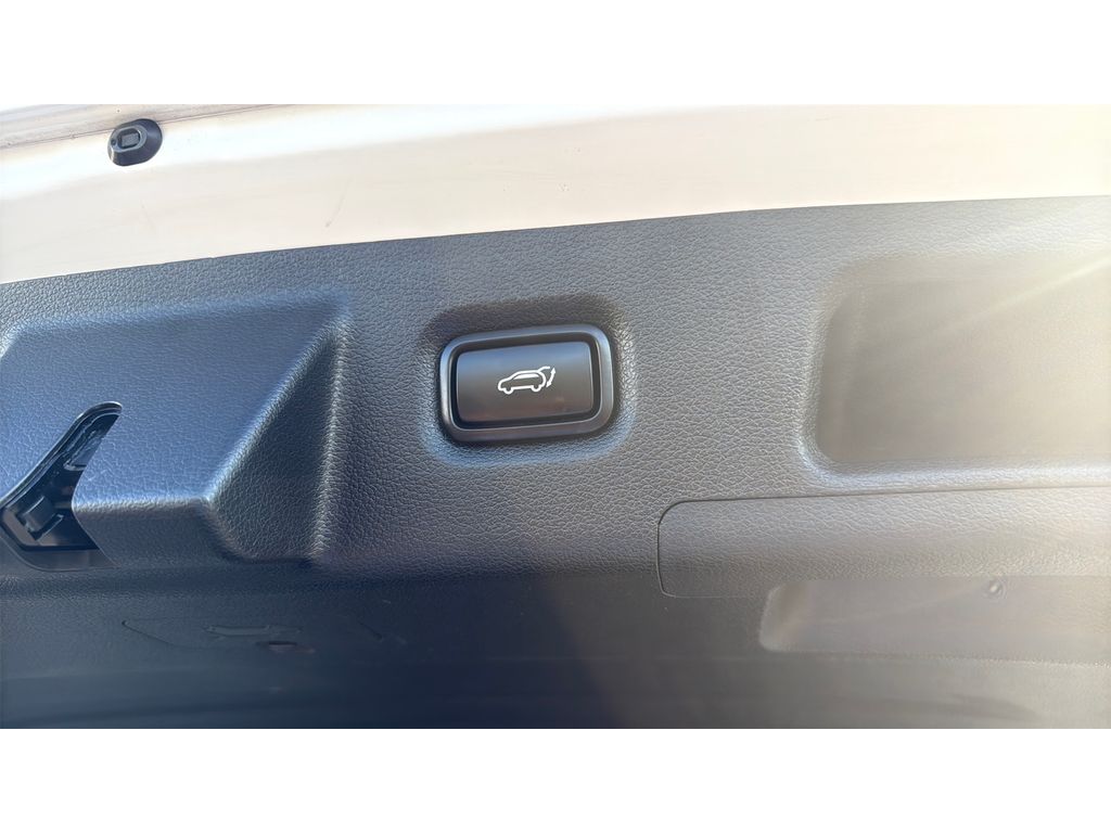 2019 Hyundai Santa Fe Ultimate - photo 6