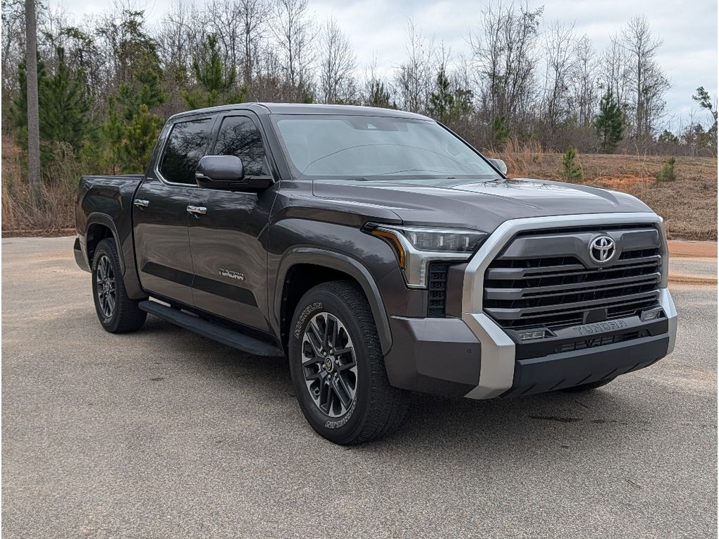 2022 Toyota Tundra Limited - Magnetic Gray Metallic exterior view 10