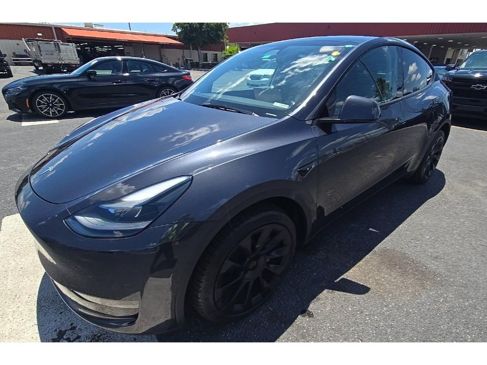 2024 Tesla Model Y's photo