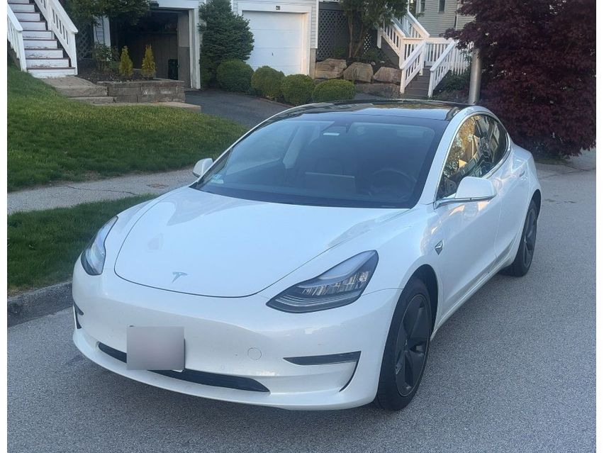 2019 Tesla Model 3 Standard Range's photo