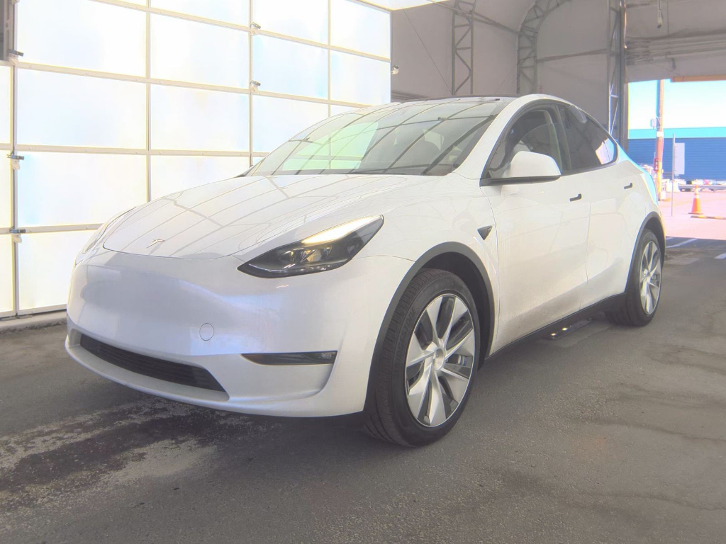 2023 Tesla Model Y's photo
