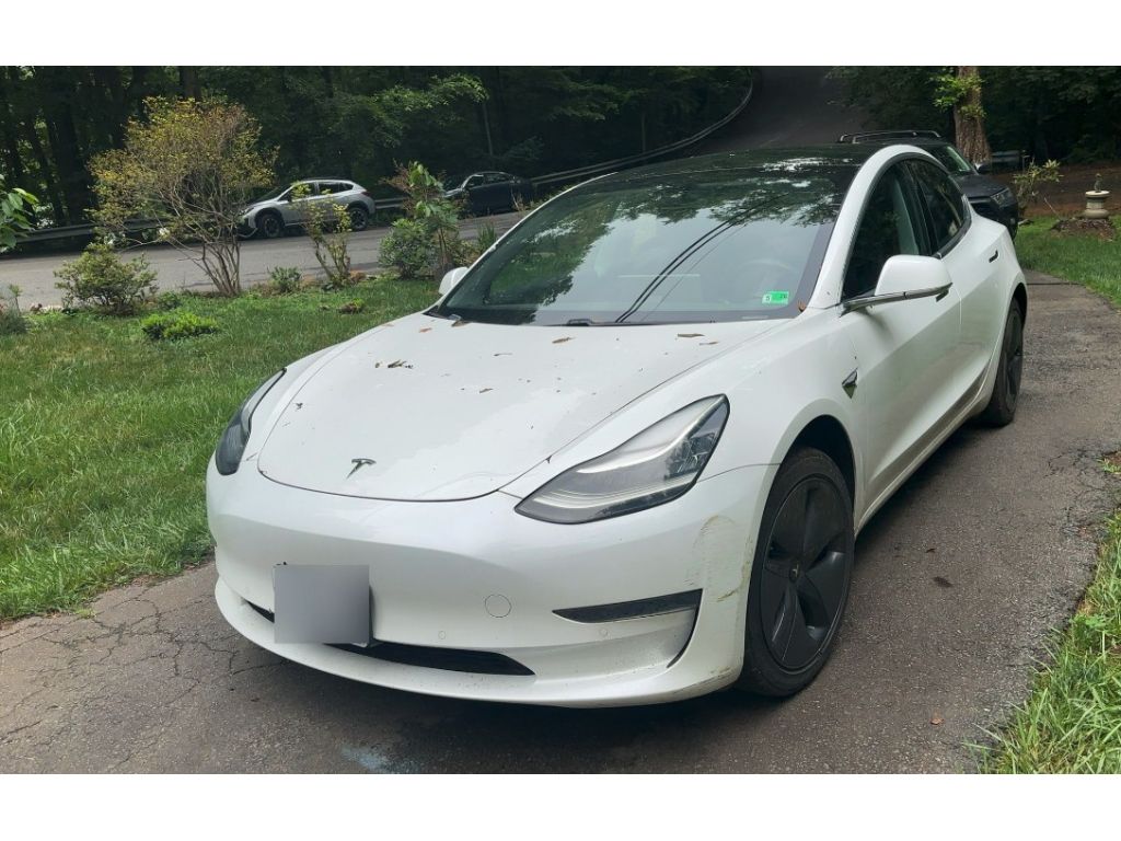2020 Tesla Model 3 Standard Range Plus's photo