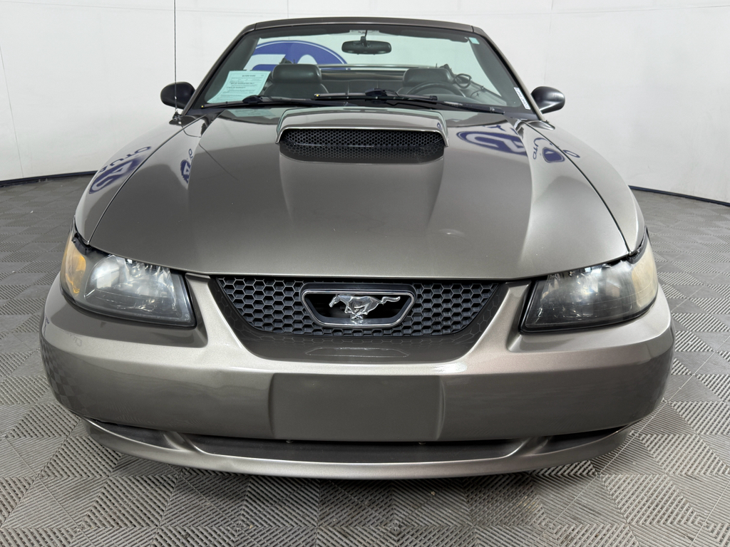 2002 Ford Mustang GT photo 2