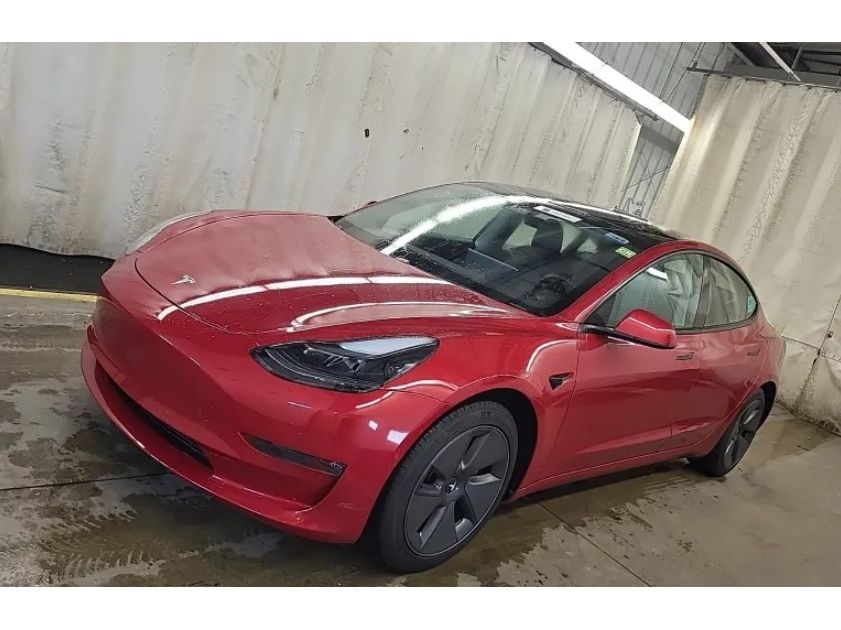 2021 Tesla Model 3 Base's photo