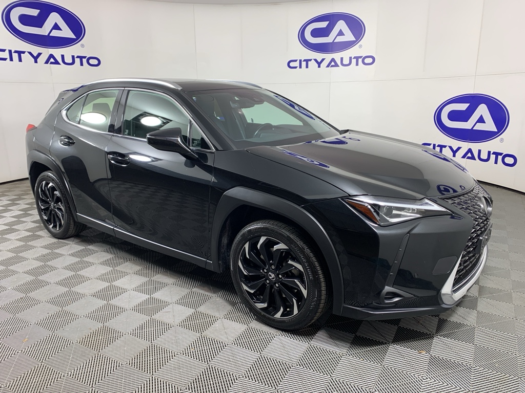 2020 Lexus UX 200's photo