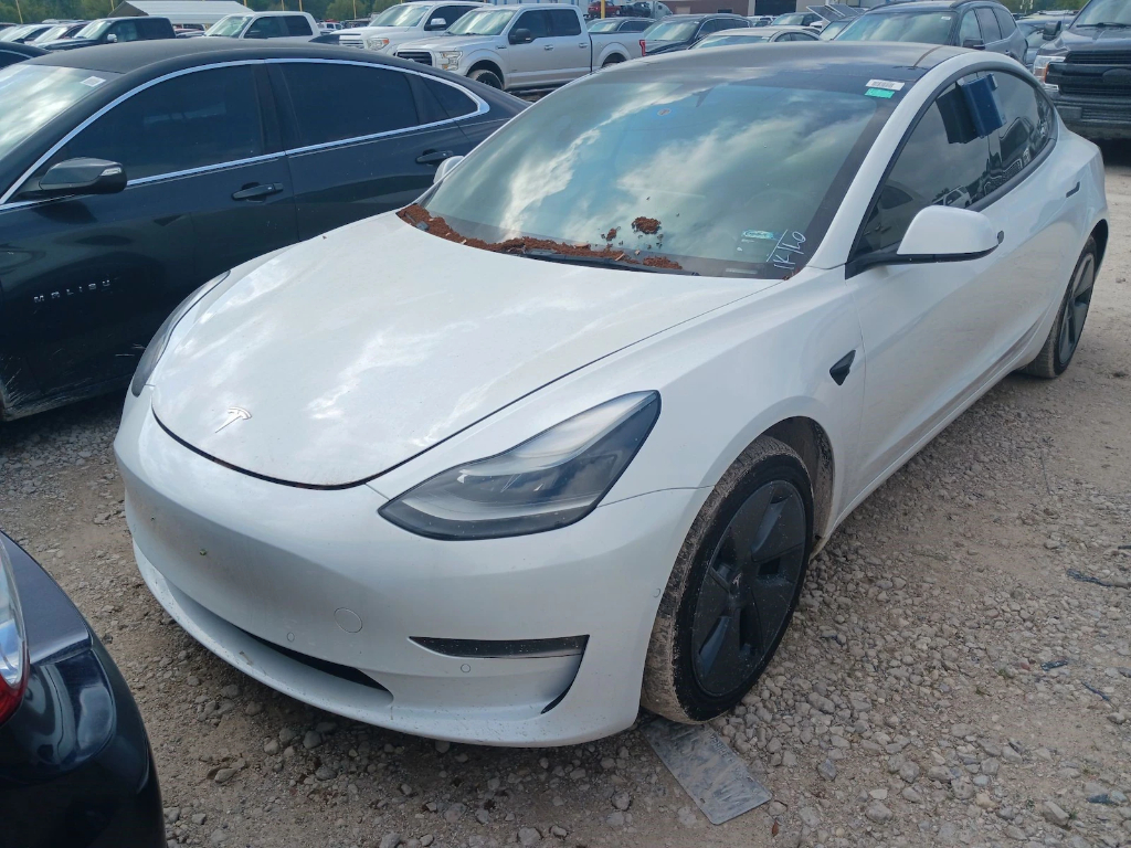 2022 Tesla Model 3 Long Range Dual Motor All-Wheel Drive's photo