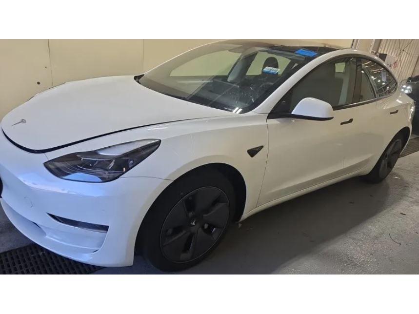 2023 Tesla Model 3's photo