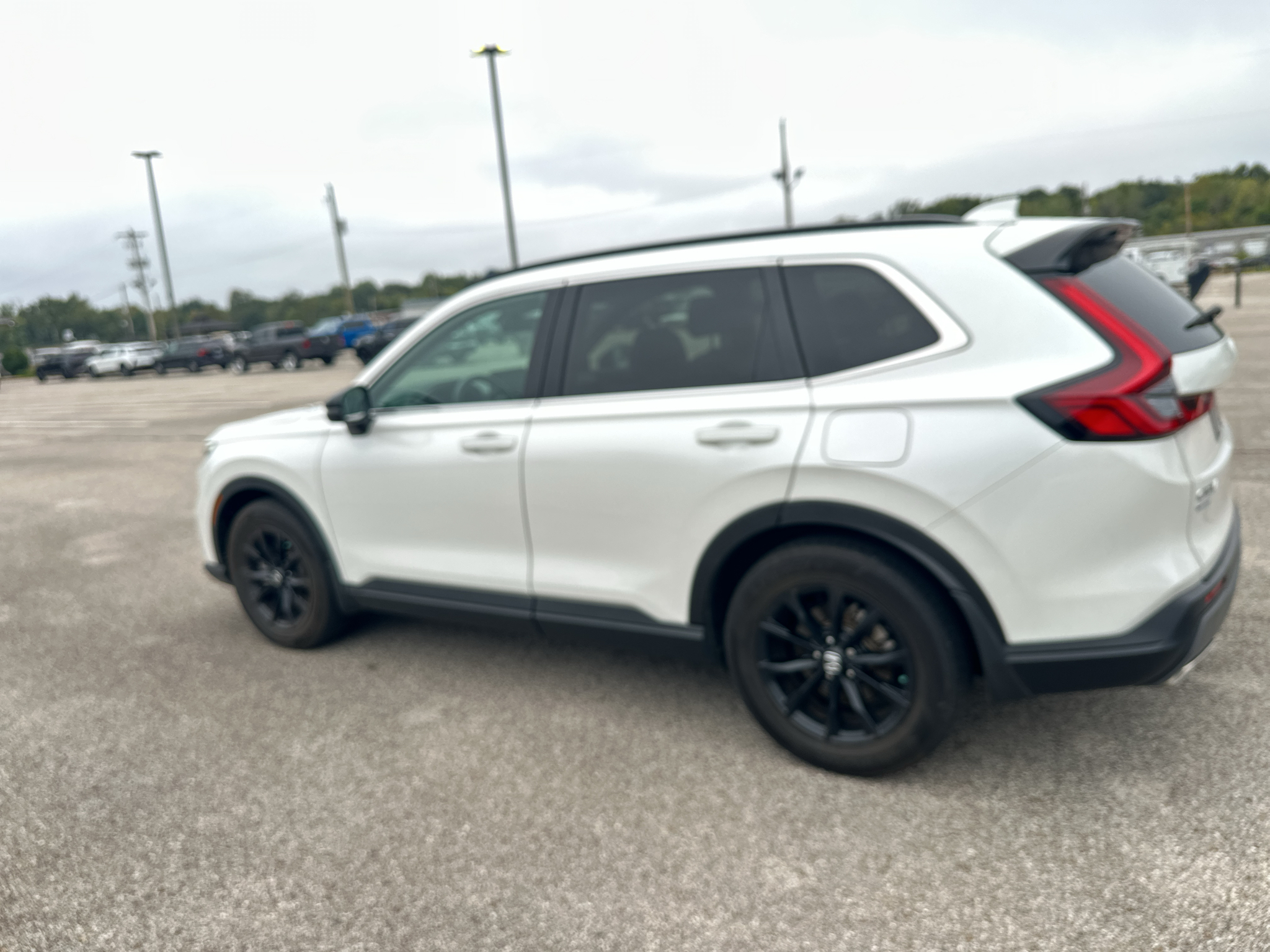 Vehicle photo 7